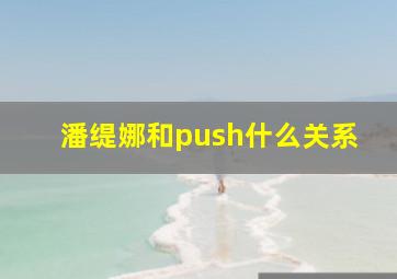 潘缇娜和push什么关系