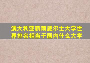 澳大利亚新南威尔士大学世界排名相当于国内什么大学