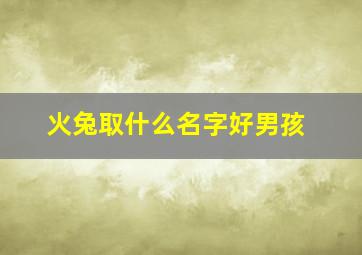 火兔取什么名字好男孩