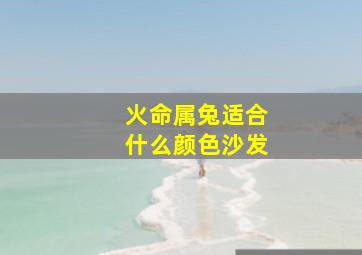 火命属兔适合什么颜色沙发