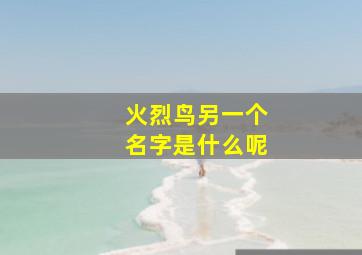 火烈鸟另一个名字是什么呢