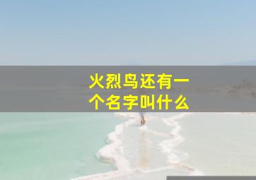 火烈鸟还有一个名字叫什么