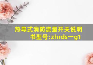 热导式消防流量开关说明书型号:zhrds一g1