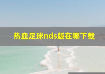 热血足球nds版在哪下载