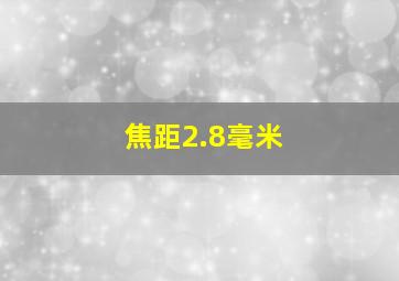 焦距2.8毫米