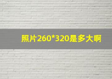 照片260*320是多大啊