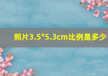 照片3.5*5.3cm比例是多少