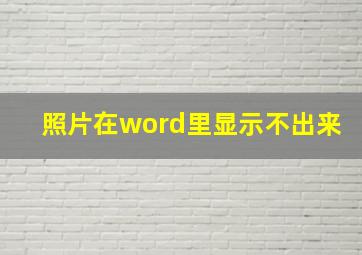 照片在word里显示不出来