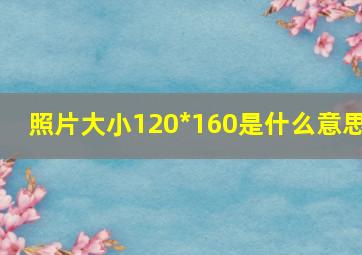 照片大小120*160是什么意思