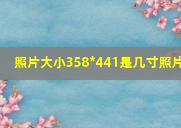 照片大小358*441是几寸照片