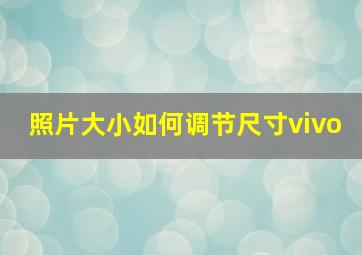 照片大小如何调节尺寸vivo