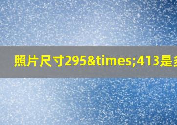 照片尺寸295×413是多大