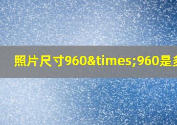 照片尺寸960×960是多大