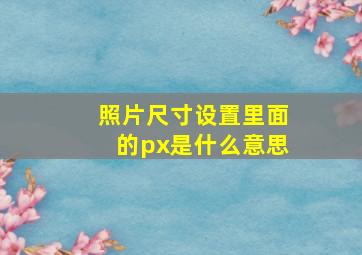 照片尺寸设置里面的px是什么意思