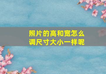 照片的高和宽怎么调尺寸大小一样呢