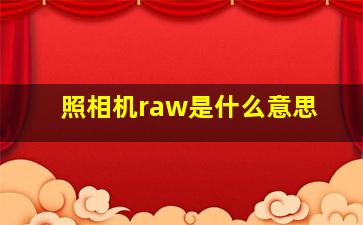 照相机raw是什么意思