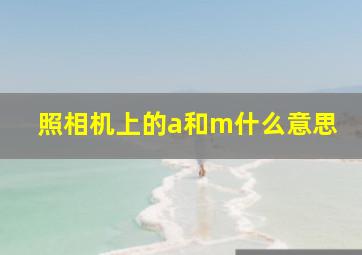 照相机上的a和m什么意思