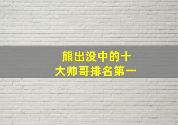 熊出没中的十大帅哥排名第一