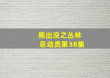 熊出没之丛林总动员第38集