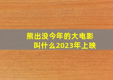 熊出没今年的大电影叫什么2023年上映