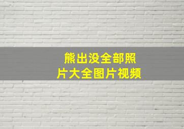 熊出没全部照片大全图片视频