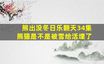 熊出没冬日乐翻天34集熊猫是不是被雪给活埋了