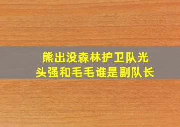 熊出没森林护卫队光头强和毛毛谁是副队长