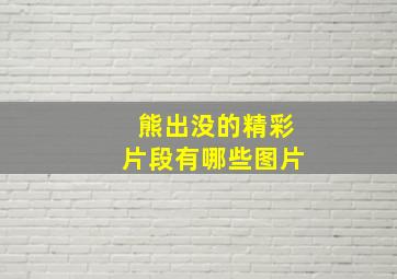 熊出没的精彩片段有哪些图片