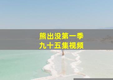 熊出没第一季九十五集视频