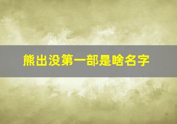 熊出没第一部是啥名字