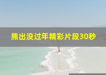 熊出没过年精彩片段30秒