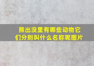 熊出没里有哪些动物它们分别叫什么名称呢图片