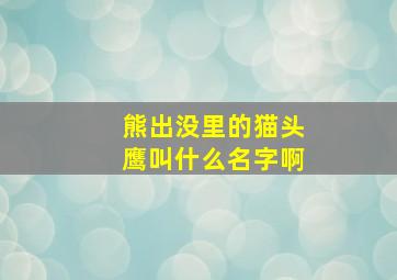 熊出没里的猫头鹰叫什么名字啊