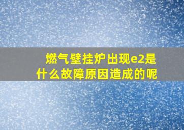 燃气壁挂炉出现e2是什么故障原因造成的呢