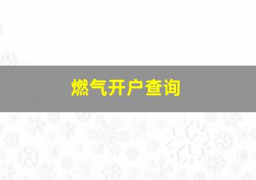 燃气开户查询