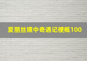 爱丽丝镜中奇遇记梗概100