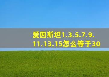 爱因斯坦1.3.5.7.9.11.13.15怎么等于30