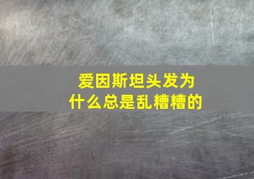 爱因斯坦头发为什么总是乱糟糟的