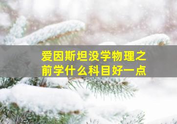 爱因斯坦没学物理之前学什么科目好一点