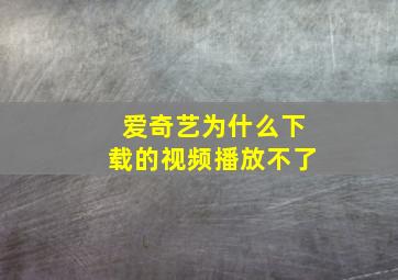 爱奇艺为什么下载的视频播放不了