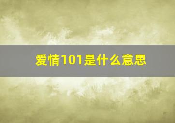 爱情101是什么意思