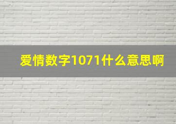 爱情数字1071什么意思啊