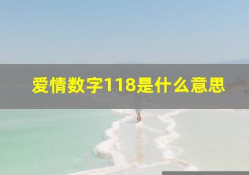 爱情数字118是什么意思