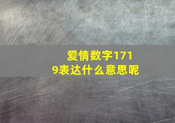 爱情数字1719表达什么意思呢