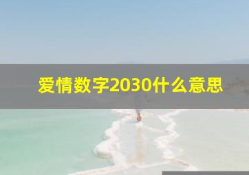 爱情数字2030什么意思