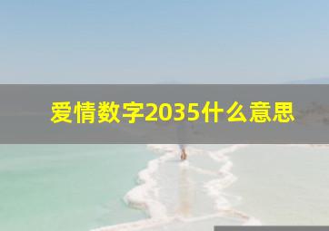 爱情数字2035什么意思