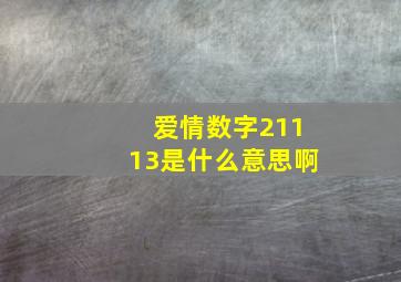 爱情数字21113是什么意思啊