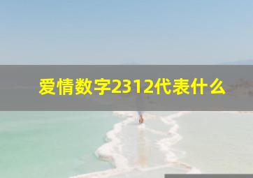 爱情数字2312代表什么