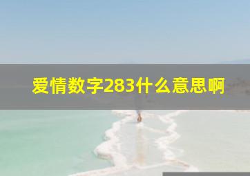 爱情数字283什么意思啊