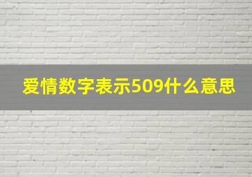 爱情数字表示509什么意思